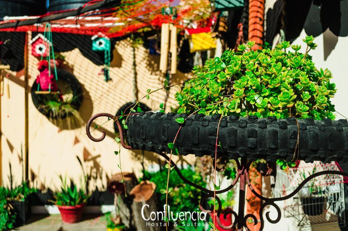 Hostal Confluencia Мендоса Екстериор снимка
